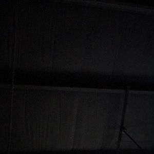 Meet your Posher, Lorri